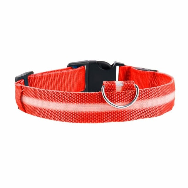 5 Sizes Battery Led Dog Collar Anti-Lost/ Car Accident Avoid Collar For Dogs Puppies Dog Cats Collars Luminous Pet Supplies