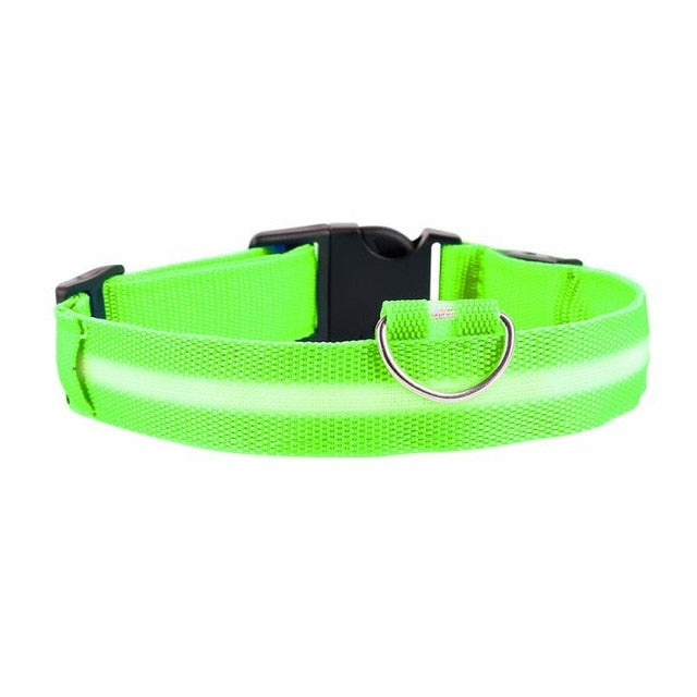 5 Sizes Battery Led Dog Collar Anti-Lost/ Car Accident Avoid Collar For Dogs Puppies Dog Cats Collars Luminous Pet Supplies